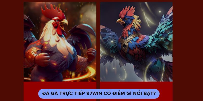 Đá gà trực tiếp 97win có điểm gì nổi bật? Đá gà trực tiếp 97win có điểm gì nổi bật?