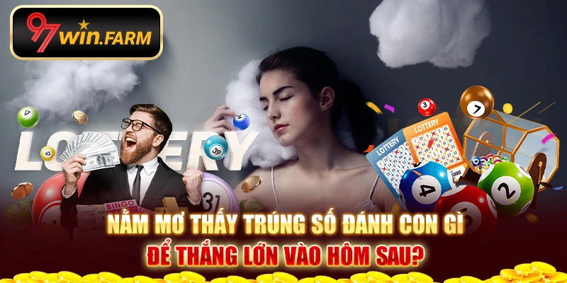 Nằm mơ thấy trúng số đánh con gì để thắng lớn vào hôm sau? Nằm mơ thấy trúng số đánh con gì để thắng lớn vào hôm sau?